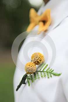 Flowers in shirt lapel