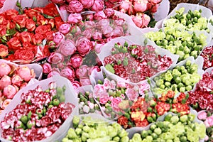 Flowers shop colorful in spring