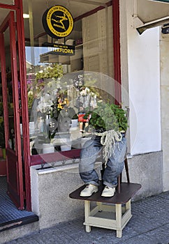 Flowers Shop entrance design from Downtown of Salamanca City. Spain.