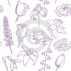 Flowers sketch seamless vector pattern