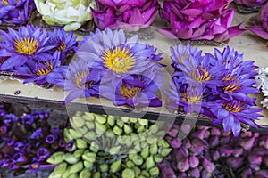 Flowers sold to be used as offerings in front of the Temple of t