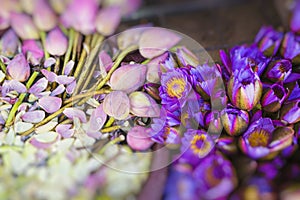 Flowers sold to be used as offerings in front of the Temple of t