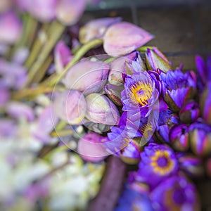 Flowers sold to be used as offerings in front of the Temple of t