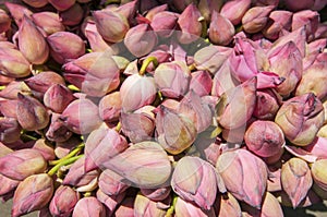 Flowers sold to be used as offerings in front of the Temple of the Tooth Relic in Kandy, Sri Lanka