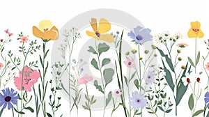 Flowers in the spring, frail field blooms. Summer plants and stems composition. Simple blossomed wildflowers isolated on