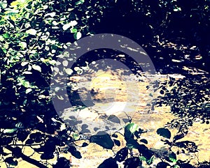 Beautiful view of the  forest - nice spring in the Spain