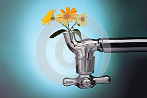 Flowers sprouted in the metal tap eco concept