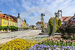 Flowers in the square of Banska Bystrica