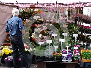 Flowers stall in Market