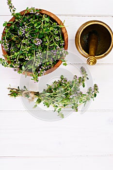 Flowers and Stems of Thyme