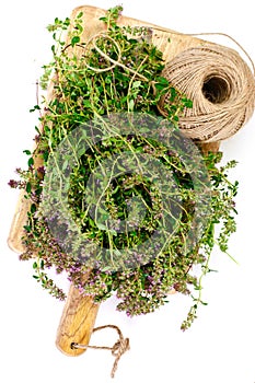 Flowers and Stems of Thyme