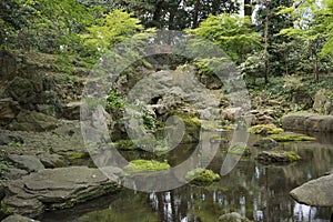 Flowers on stone covered with moss in the pond of tea house in r