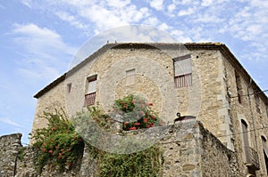 Flowers on stone house