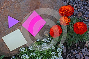 Flowers stone paper message Garden