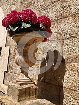 Flowers in a stone pot. photo
