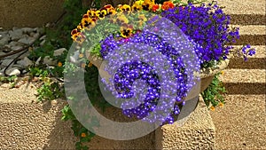 Flowers in a stone vase near the steps leading to the entrance of the house