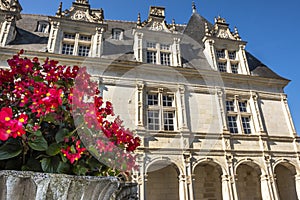 Flowers in a stone vase with renaissance chateau Villandry on the background, Loire valley, France.