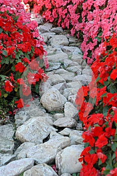 Flowers and stones