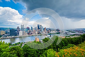 Flowers and stormy view of the Pittsburgh skyline, from Mount Washington, Pittsburgh, Pennsylvania