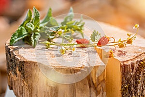 flowers and strawberries on an old wooden log.