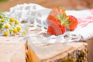 flowers and strawberries on an old wooden log.