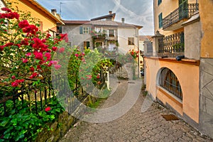 Flowers at street of Cabella Ligure town