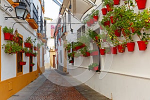 Flowers on street Cordoba, Andalusia, Spain