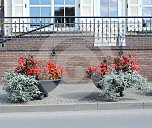 Flowers in street