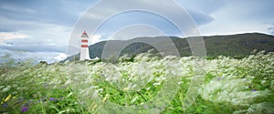 Flowers in summer breeze and Lighthouse photo