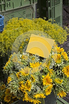 Flowers and Sunflowers on Market