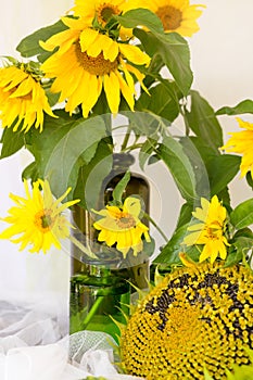 Flowers sunflowers in a vase on a wooden table ripe sunflower, w