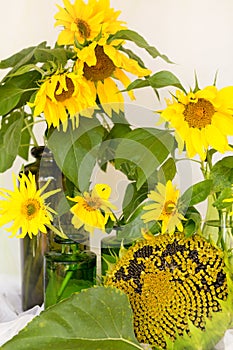 Flowers sunflowers in a vase on a wooden table ripe sunflower, w