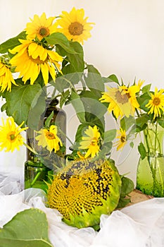 Flowers sunflowers in a vase on a wooden table ripe sunflower, w