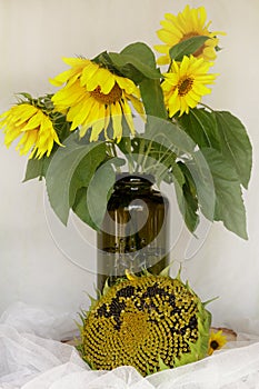 Flowers sunflowers in a vase on a wooden table ripe sunflower, w