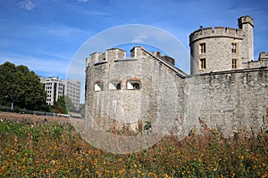 Flowers, Superbloom in Tower of London moat