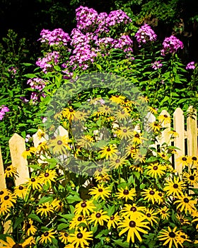 Flowers surround a yellow picket fence