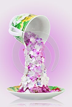 Flowers tea in cup