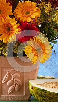 Flowers in a terracota vase photo