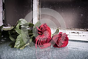 Flowers on the texture glass.