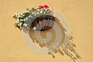 Flowers on textured wall