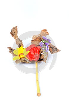 Flowers on top of a dry leaf on white background.