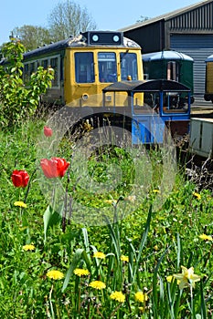 Flowers and Trains at Butterley, England 