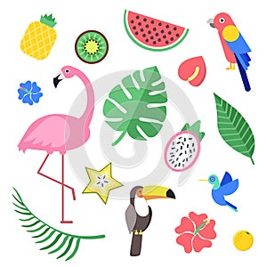 Flowers and tropical exotic fruits and birds. Vector illustrations isolate
