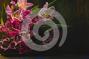 Flowers tulips- spring mood. Photography- clipart photo