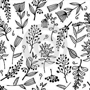 Flowers, branches, herbs seamless vector pattern. Hand-drawn doodles on a white background. Field plants with inflorescences