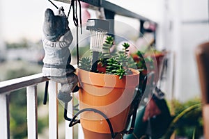 Flowers in a urban garden