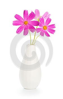 Flowers in vase