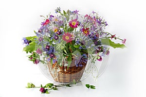 Flowers in a vase.A bouquet of blue cornflowers, daisies in a basket on a white background
