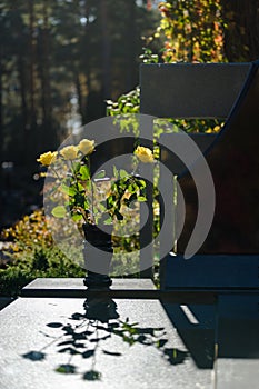 Flowers in vase on grave against light