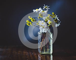 Flowers in a vase